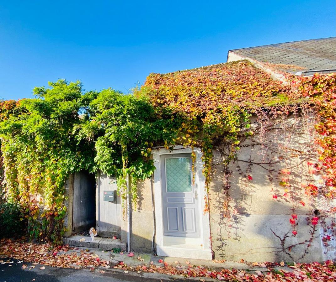 Vila Le Secret De Clamecy Selles-sur-Cher Exteriér fotografie